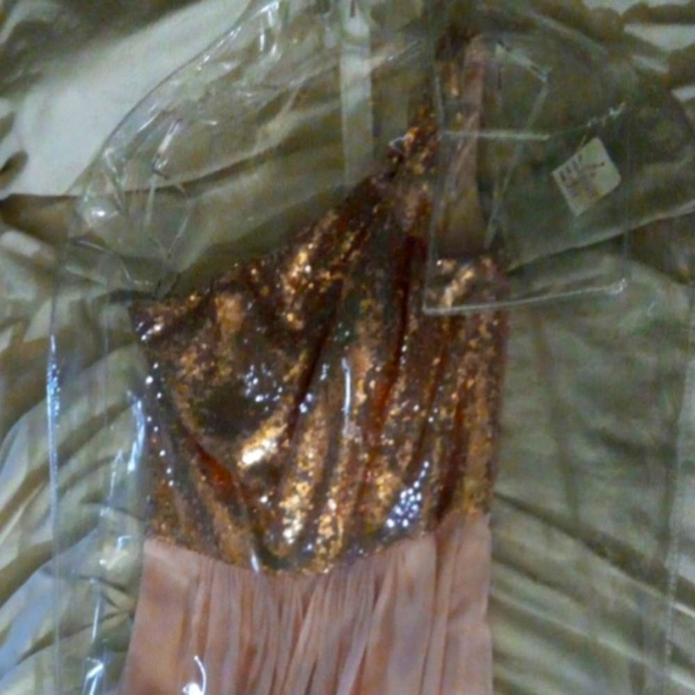 Size 6 B2 Jasmine Rose gold and peach dress